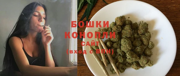 сатива Баксан