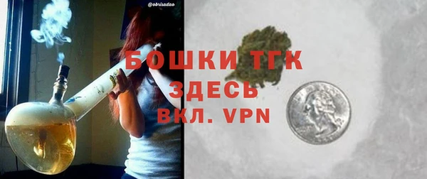 сатива Арсеньев