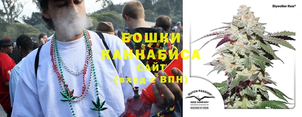 сатива Баксан