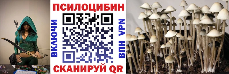 MEGA рабочий сайт  Великие Луки  Псилоцибиновые грибы Psilocybe  где купить наркотик 